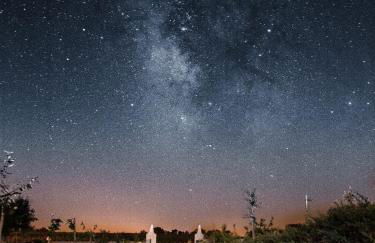 Casa do Sobreiro-Quinta do Briando - Foto 15