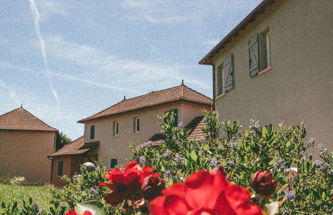 Terres de France - Domaine de Claire Rive - Foto 29