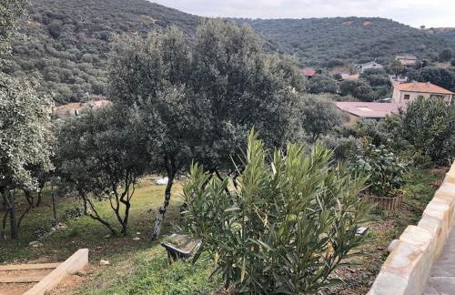 El Encinar de Carol - Foto 47