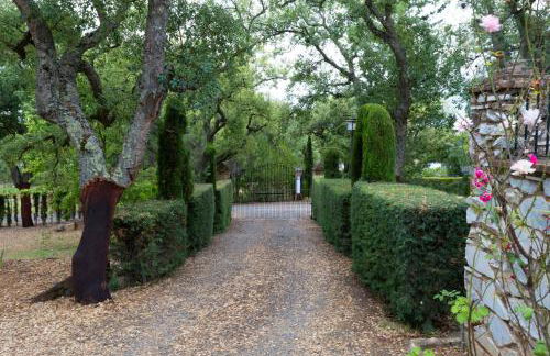 Casa Rural La Gallega - Foto 13