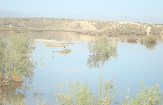 Naturist Penthouse 2 Bedrooms Pv5 - Foto 22