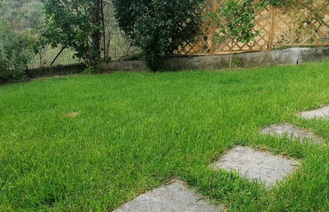 Nonna Paola Guest House - Foto 30