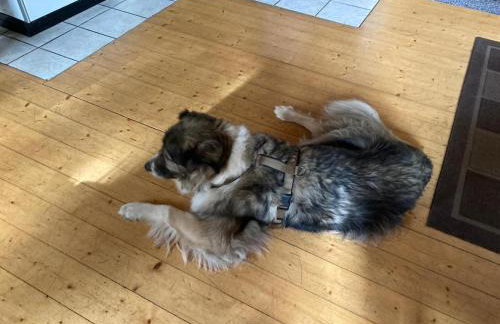 Ferienhaus Winter - Foto 14