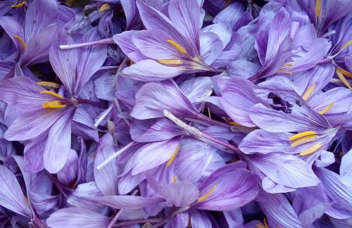 Azienda agrituristica Campo Luente - Foto 20