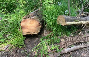 Murphys Law Inn 7 - Foto 22