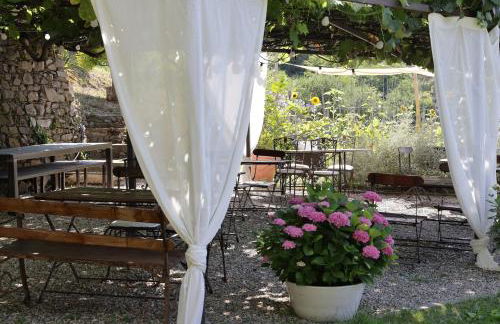 AGRITURISMO CASA OLIVIERI - Foto 51