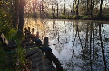 Siedlisko Dębinka - Foto 12