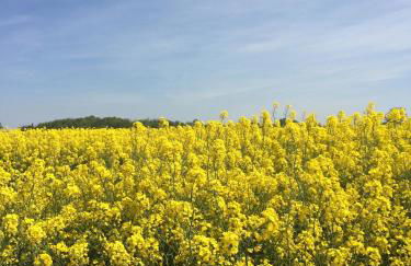 Wellenzauber - Haus 19 - Foto 18