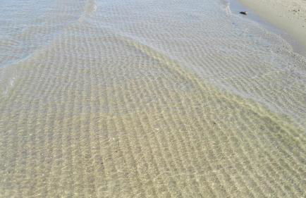 Residence Adriatico - Foto 63