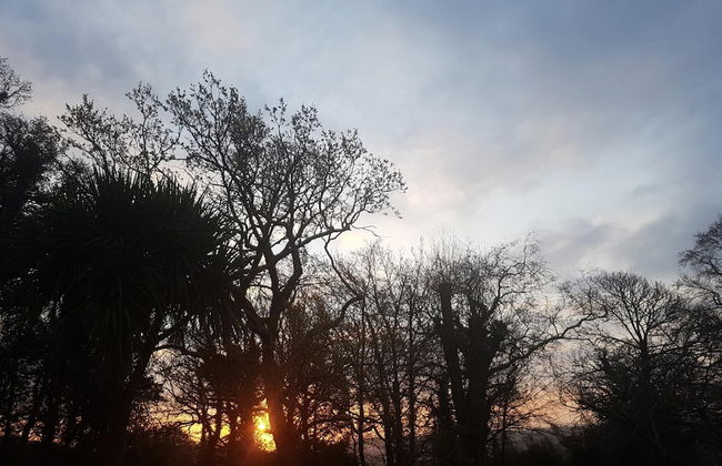 2 Bed Cottage - Sleeps 4 - Garden, Pets, Wifi - Foto 15