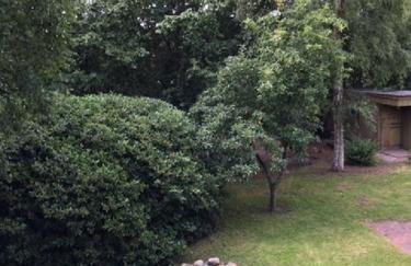 Ferienwohnung Tante Lise - Foto 9