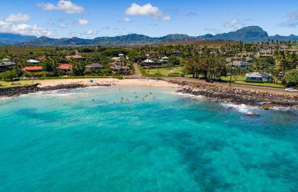 Prince Kuhio 110 - Foto 52