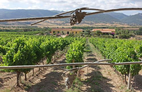 Agriturismo Campesi casale tra le vigne - Photo 12