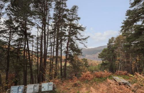 Wendy's Place - Foto 17