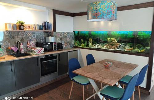 Apartamenty Sowianka - Foto 19