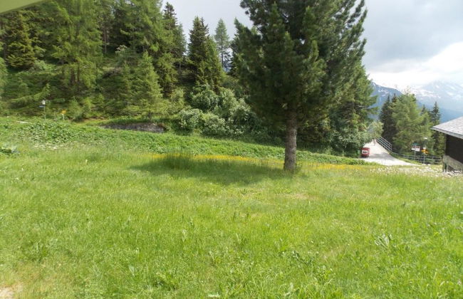 Abendrot EG Süd-West - Foto 5