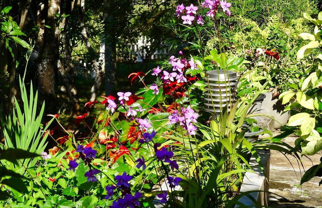 Amandari Holiday Villa - Foto 32