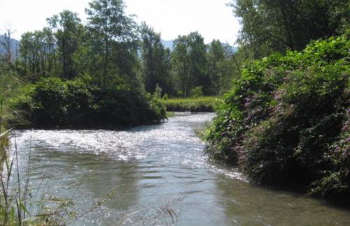 Escale Ugine - Foto 41