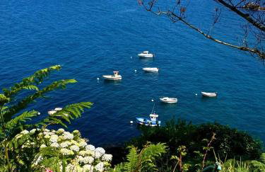 Les hortensias de papy - Foto 26