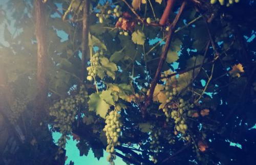 Casetta nel Podere di Massi - Foto 47