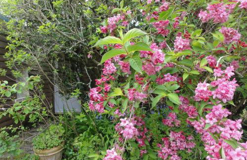 Gites Air Marin - Photo 16