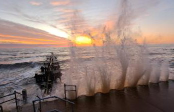 The Stable - Photo 9