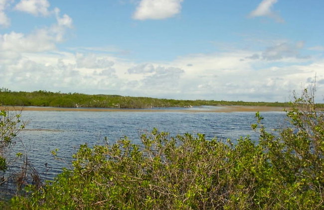 Buttonwood Reserve 2D - Photo 39