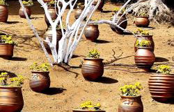 Cozy House with Amazing View and Unique Outdoor! - Foto 39