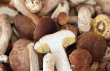 Apartament Jerzyn - Foto 54