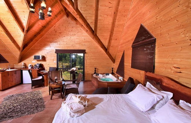 Auzat King David - Photo 4