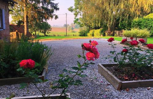 Au coin du loup, monts de Flandres, Zwarteberg - Foto 25