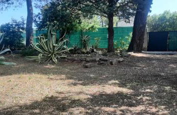 Mas Provençal au Cannet des Maures - Foto 48
