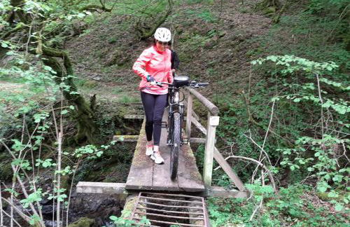 Residenz Moselstausee - Foto 67