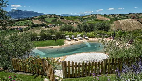 Agriturismo Emidio Pepe - Photo 2, Garden view