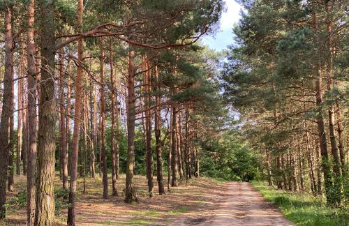 Przytulny apartament dla dwojga - Foto 9