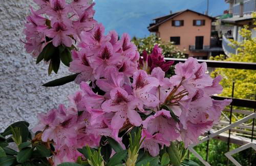 La Mansardina sul lago Mountain Lake Iseo Hospitality - Photo 21