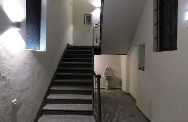 Piumaviola - Foto 64