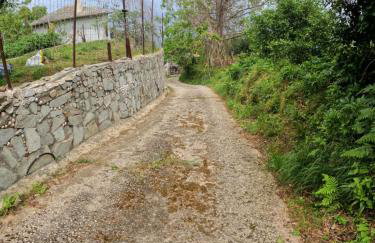 Katafigio Home in Tsagkarada Village - Foto 40