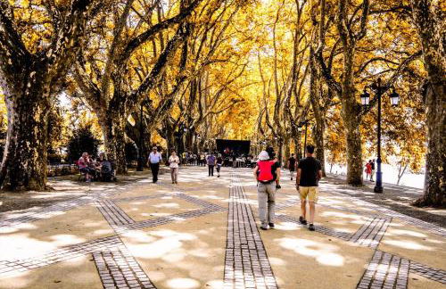 Pertinho do Rio - Foto 13