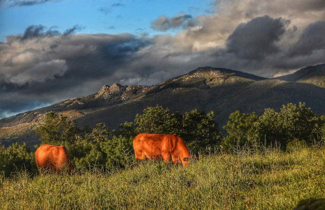 Tour en 4x4 por el valle del Ambroz - Foto 3