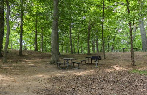 Lakeside Cottage - Right across of Westside County Park with lake access - Foto 23