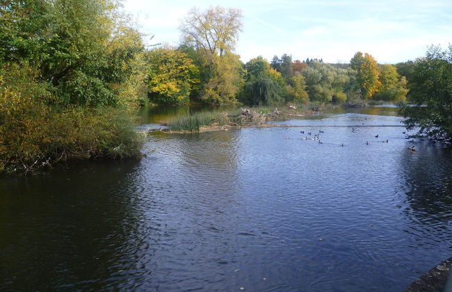 Apartment in Ennerich's Valley - Foto 24