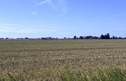 Ferienhof am Meer - Photo 61