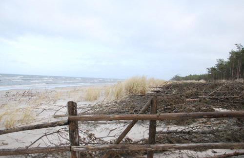 Forest House Sasino-SPA Sauna Balia - Foto 69