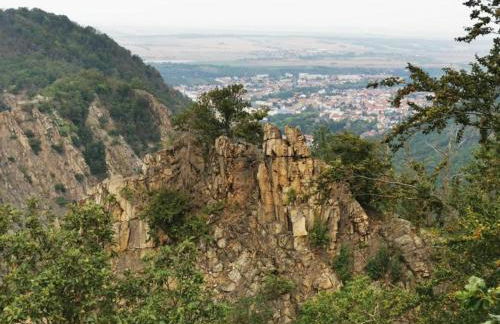 Nature Escape in Meisdorf - Foto 53