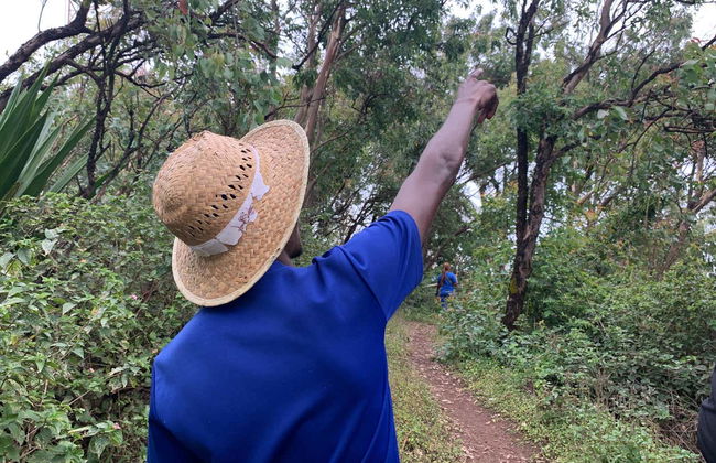 Paul Valley Hiking Tour - Photo 1