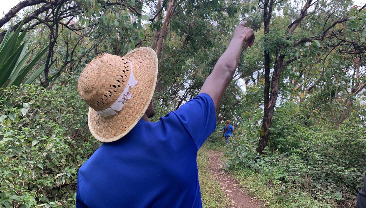 Paul Valley Hiking Tour - Photo 1