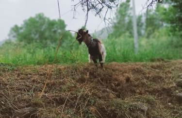 A Ca du Giaba - Foto 19