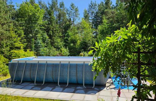 Leśne Wspomnienia - Foto 6