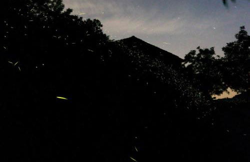 Mimmo's Holiday House - Foto 43